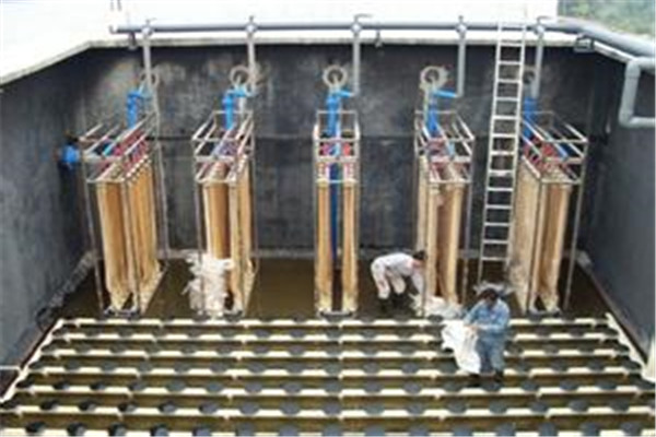 MBR生物膜处理器