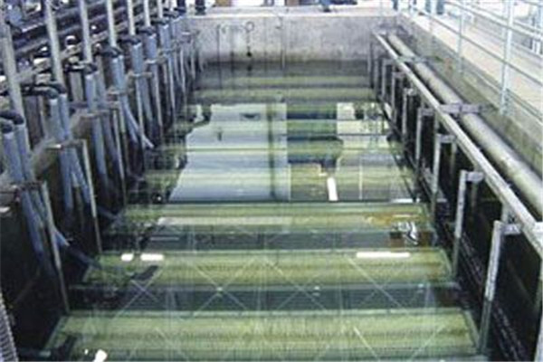 MBR生物膜处理器